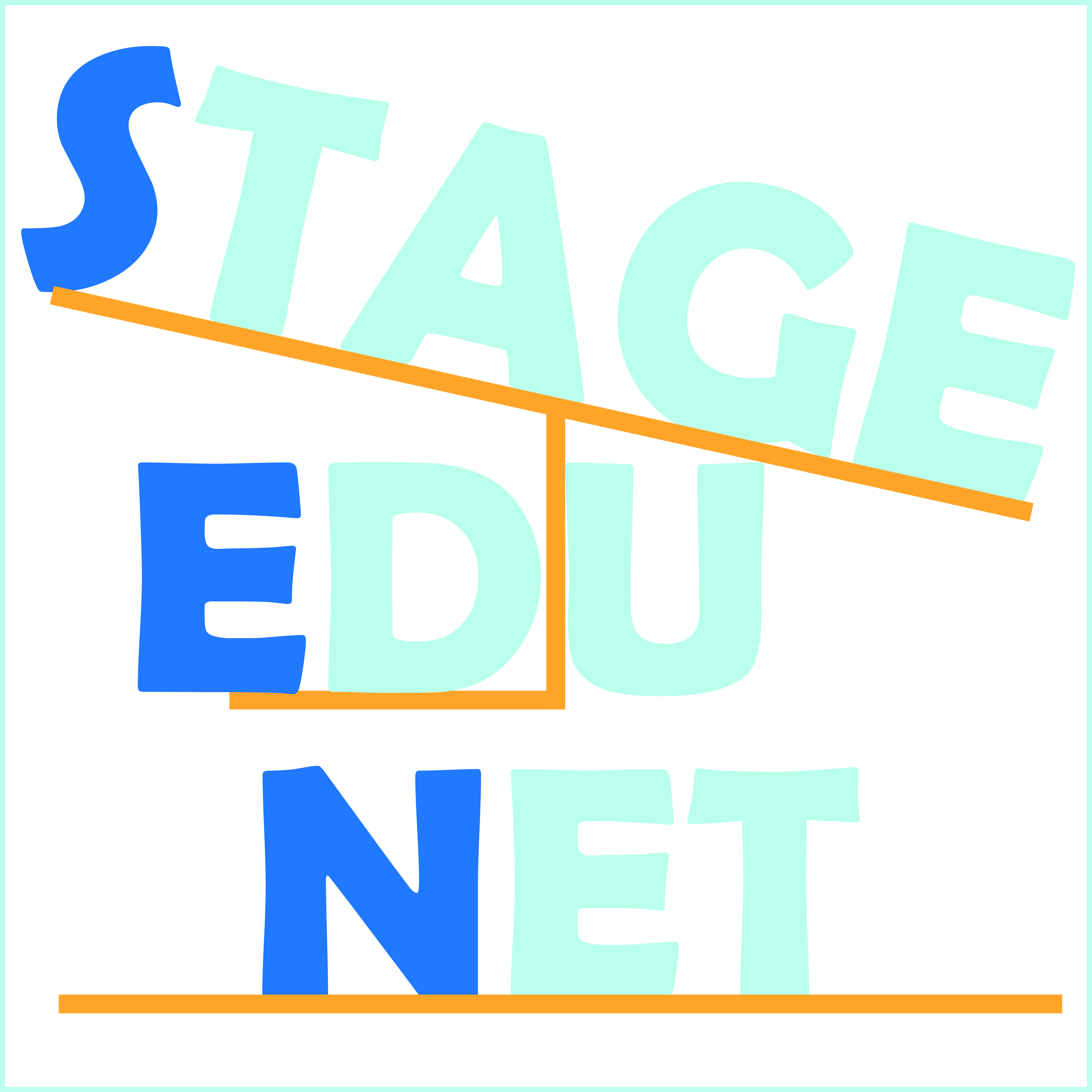 logo STAGE EDU NET
